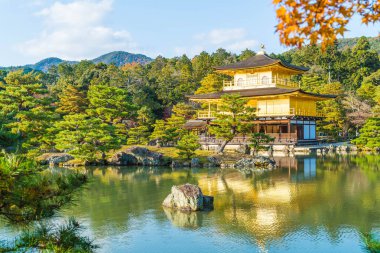 Kinkakuji Tapınağı (altın köşk güzel mimari)