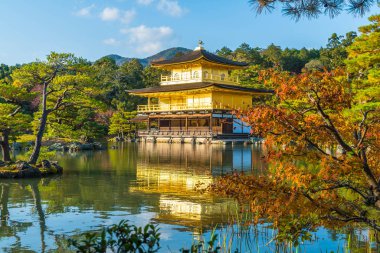 Kinkakuji Tapınağı (altın köşk güzel mimari)