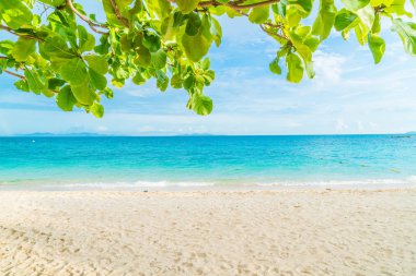güzel tropikal plaj ve deniz manzara
