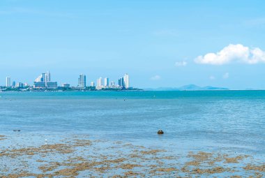 plaj Kuzey Pattaya, Tayland