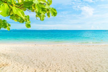 güzel tropikal plaj ve deniz manzara
