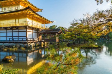 Kinkakuji Tapınağı (altın köşk güzel mimari)