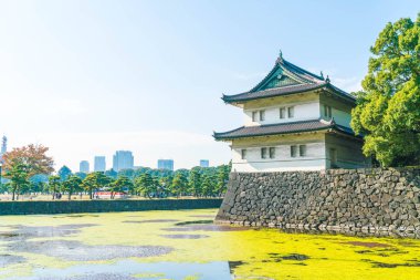 Tokyo'da bina güzel İmparatorluk Sarayı