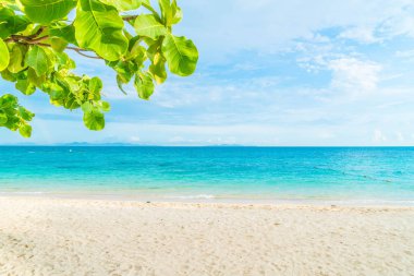 güzel tropikal plaj ve deniz manzara