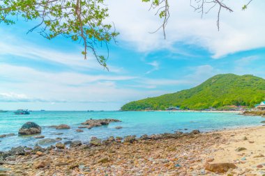 güzel tropikal beach Koh Larne Pattaya adlı