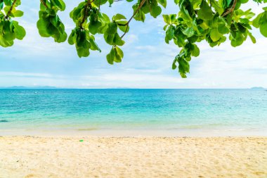 güzel tropikal plaj ve deniz manzara