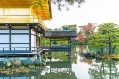 Kinkakuji Tapınağı (altın köşk güzel mimari)