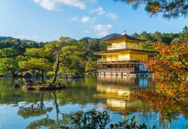Kinkakuji Tapınağı (altın köşk güzel mimari)