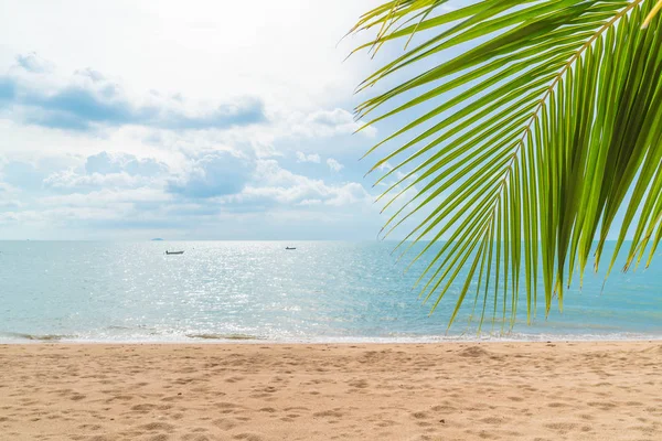 Palmo con spiaggia vuota — Foto Stock