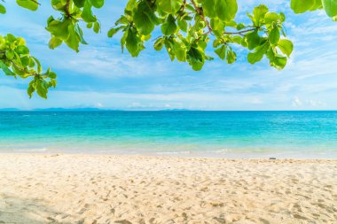güzel tropikal plaj ve deniz manzara