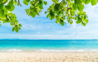 güzel tropikal plaj ve deniz manzara