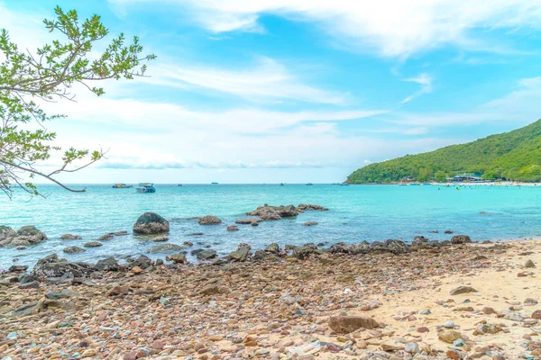 güzel tropikal beach Koh Larne Pattaya adlı