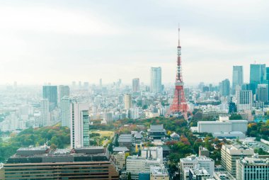 Tokyo şehir manzarası alacakaranlıkta