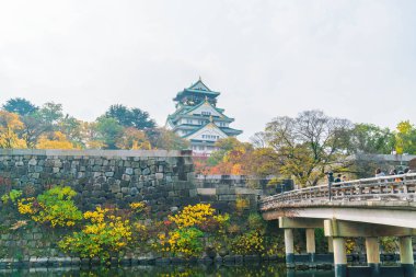 Osaka, Japonya - Kasım 20: Osaka Kalesi Park'ta kalabalık ziyaretçi. Ben