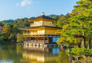 Kinkakuji Tapınağı (altın köşk güzel mimari)