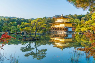 Kinkakuji Tapınağı (altın köşk güzel mimari)