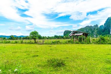  Vang Vieng alanlarda eski ev