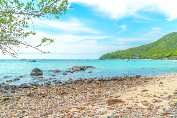 güzel tropikal beach Koh Larne Pattaya adlı