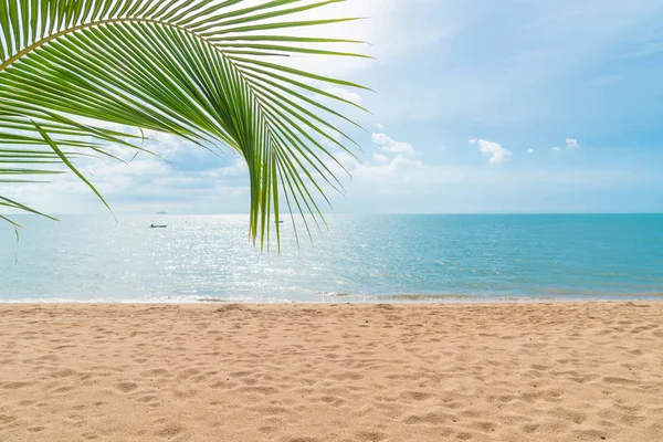 Palmo con spiaggia vuota — Foto Stock