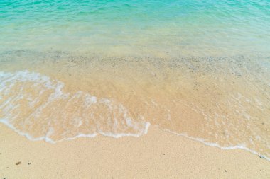 güzel tropikal plaj ve deniz manzara