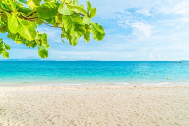 güzel tropikal plaj ve deniz manzara