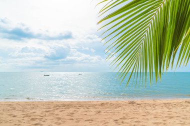 ile boş beach palm