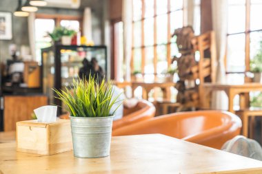 saksı dekorasyonunda bitki 