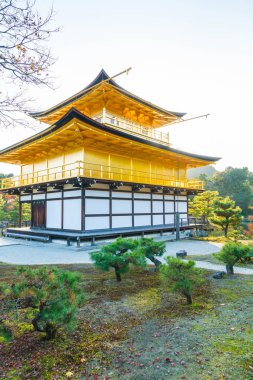 Kinkakuji Tapınağı (altın köşk güzel mimari)