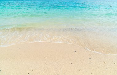 güzel tropikal plaj ve deniz manzara