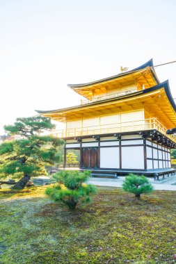 Kinkakuji Tapınağı (altın köşk güzel mimari)