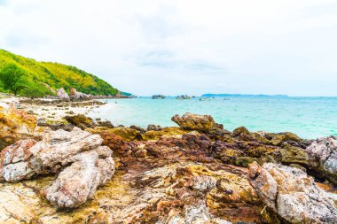 güzel tropikal beach Koh Larne Pattaya adlı