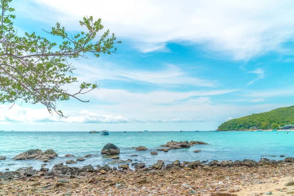güzel tropikal beach Koh Larne Pattaya adlı
