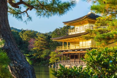 Kinkakuji Tapınağı (altın köşk güzel mimari)