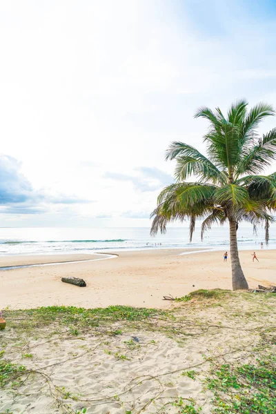 Hindistan cevizi ağacı ile tropikal plaj