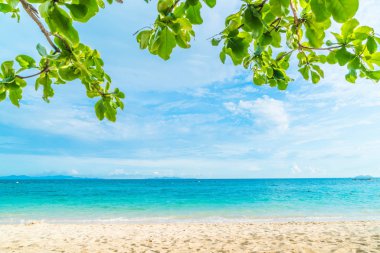 güzel tropikal plaj ve deniz manzara