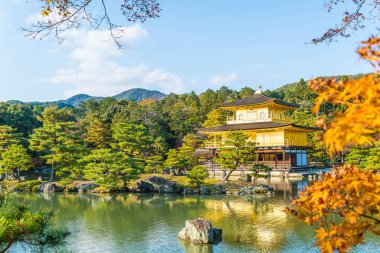Kinkakuji Tapınağı (altın köşk güzel mimari)