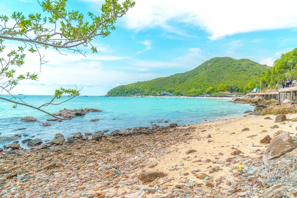 güzel tropikal beach Koh Larne Pattaya adlı