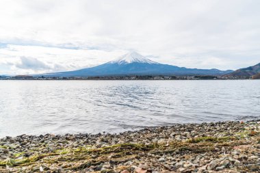 Japonya 'daki Kawaguchiko Gölü' nde Fuji Dağı..