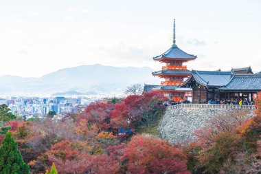 Kyoto, Sonbahar sezonu Kiyomizu veya Kiyomizu-dera Tapınağı.