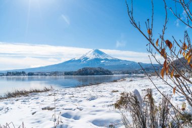 Dağ Fuji San Kawaguchiko Gölü.