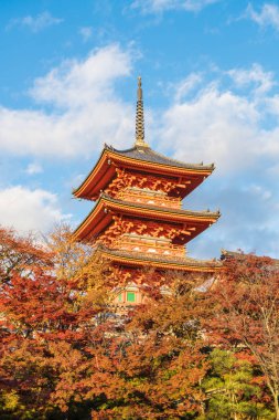 Kiyomizu-dera Tapınağı güzel mimari Kyoto,.