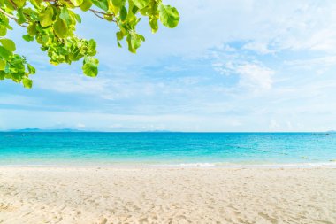 güzel tropikal plaj ve deniz manzara
