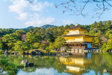 Kinkakuji Tapınağı (altın köşk güzel mimari)