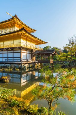 Kinkakuji Tapınağı (altın köşk güzel mimari)