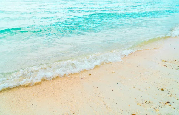 güzel tropikal plaj ve deniz manzara