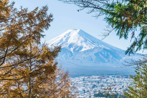 Kawaguchiko, dağ Fuji San