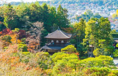 Gümüş Pavilion Ginkakuji Tapınağı'nda güzel mimari