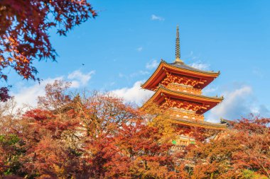 Kiyomizu-dera Tapınağı güzel mimari Kyoto,.