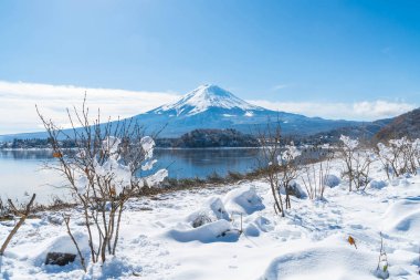 Dağ Fuji San Kawaguchiko Gölü.
