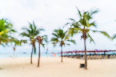 güzel hurma şemsiye ve deniz sandalyeye ile bulanıklık ve 